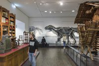 Übersee Museum Blick in die Ausstellung