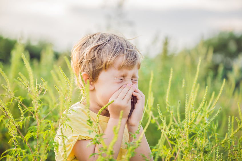 Allergien, Heuschnupfen, Pollen, Kinder und Eltern
