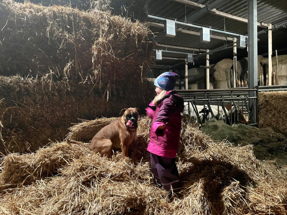 Mit Kind auf dem Bauernhof