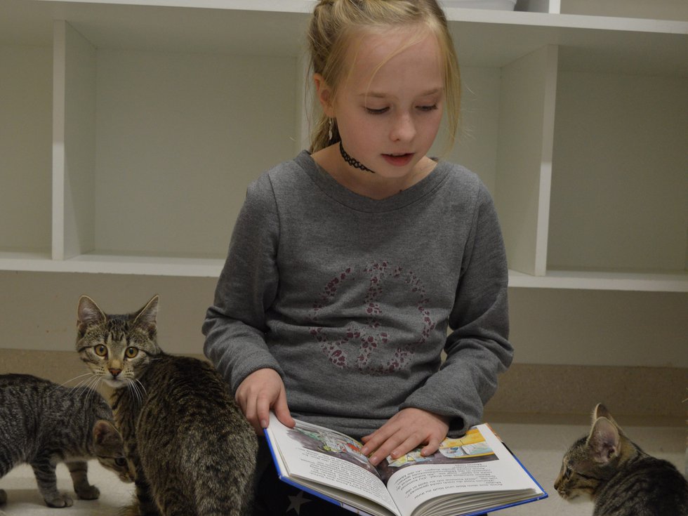 Kids and Cats
