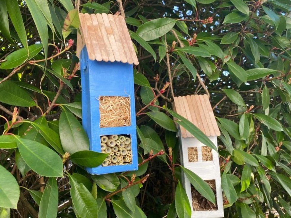 DIY Insektenhotel
