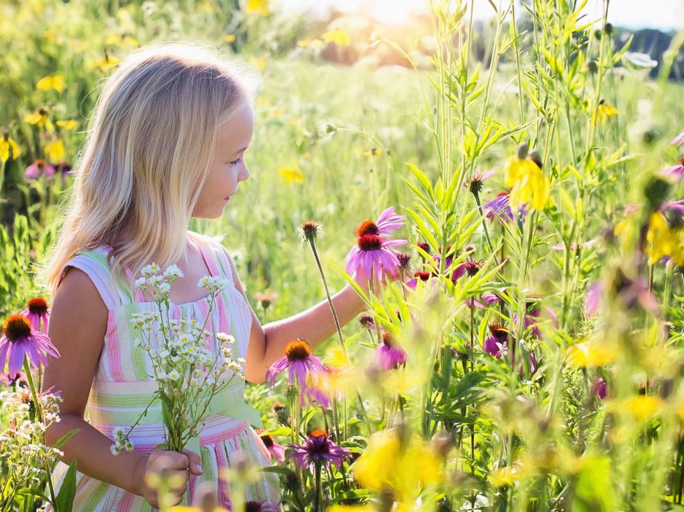 Kind Blumenwiese