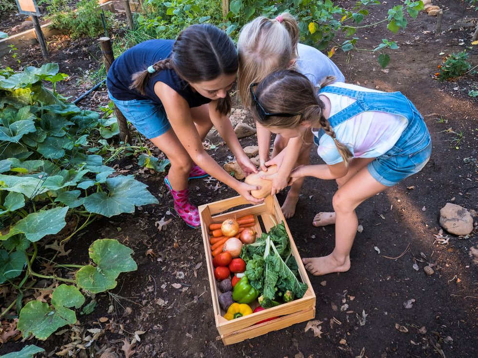 Kinder im Gemüsegarten