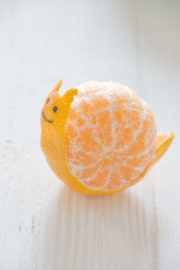 mandarinenschnecke.jpg