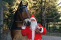 Mit dem Nikolaus auf Futtertour, Wildpark Schwarze Berge