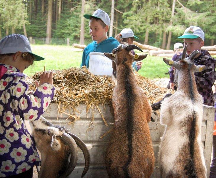 Ein Tag als Tierpfleger